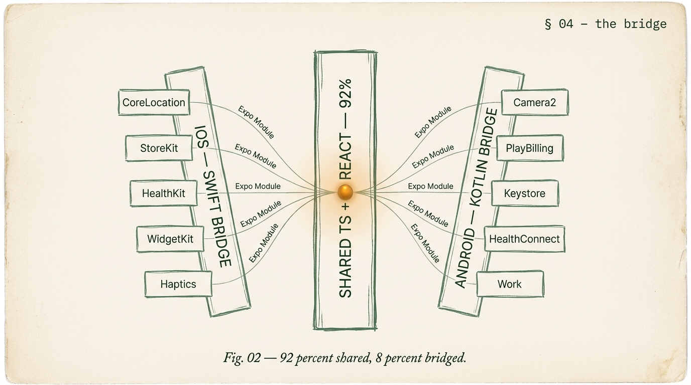 Editorial React Native native-module surface diagram showing a central shared TS and React trunk with iOS Swift bridge and Android Kotlin bridge branching outward, each with five native-module boxes labeled and connected back to the shared trunk via Expo Module wrappers.