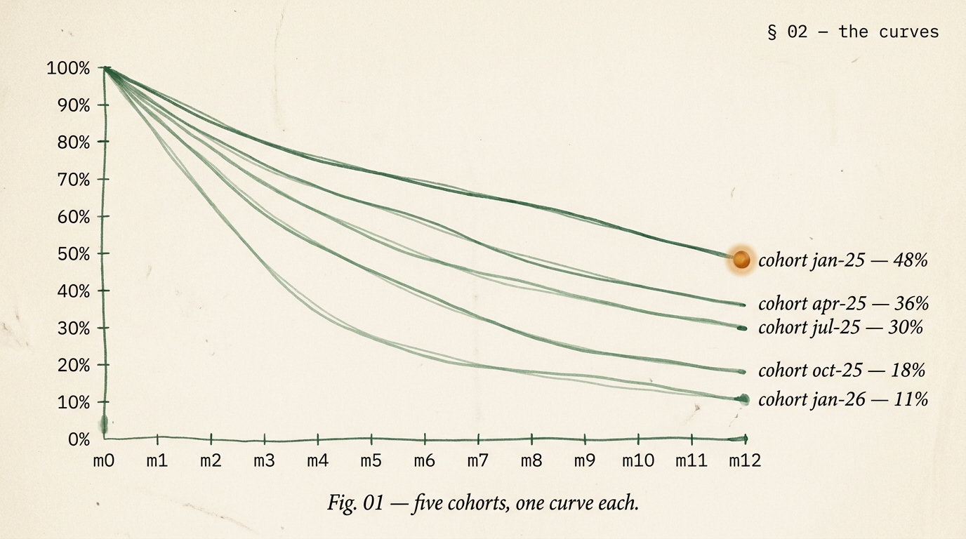 Editorial cohort retention curves showing five monthly cohorts decaying from 100 percent at month zero, with the best cohort ending at 48 percent at month twelve marked with an amber orb, and worse cohorts decaying faster down to 11 percent at month twelve.